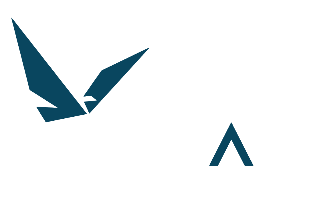 Vimal Group